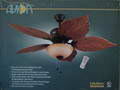 installing-ceiling-fan