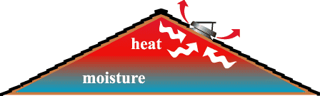 Roof Diagram